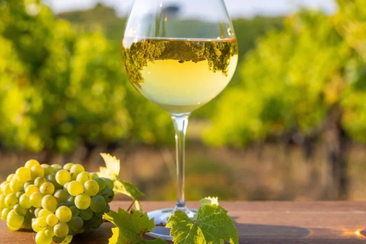 A glass of pale Viorica white wine, Moldova's aromatic indigenous variety known for floral acacia and basil aromas.