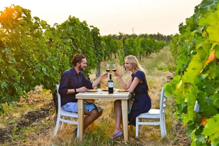 Wineries & Cellars