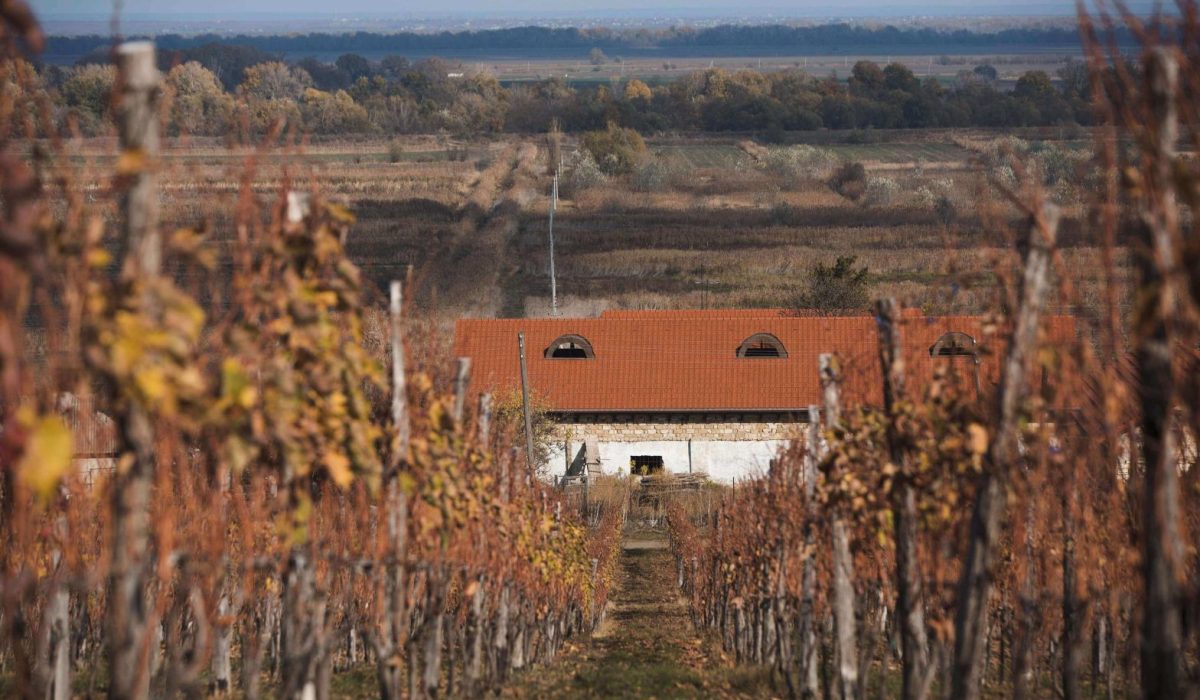 Moldova Wine Routes: 1, 3, and 5-Day Itineraries 1 Following a Moldova wine route through the vineyards of the Codru wine region.