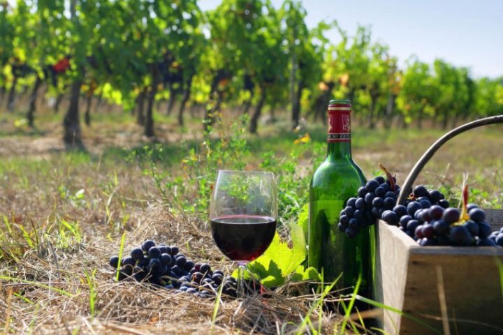 National Wine Day celebrations in Chișinău, the biggest wine festival in Moldova.