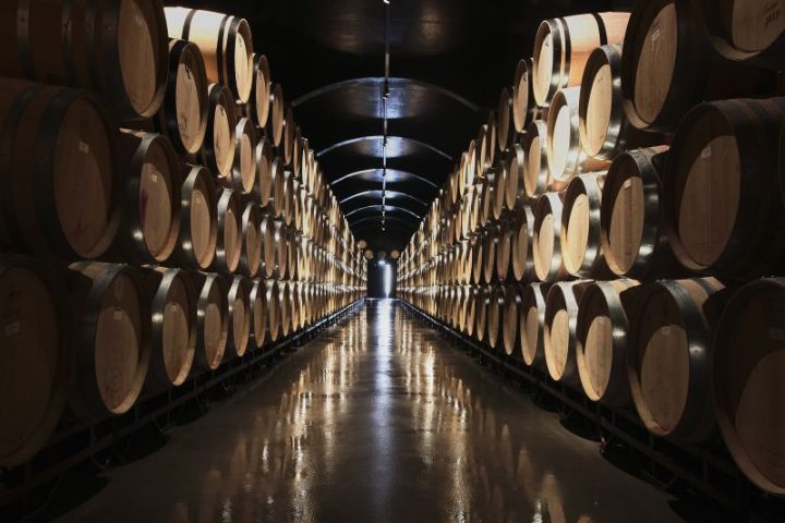 Oak, Steel, or Amphora: How Aging Shapes Wine 9 Rows of oak barrels ageing wine in a cool cellar, where time in oak barrels shapes the wine's flavour and texture.