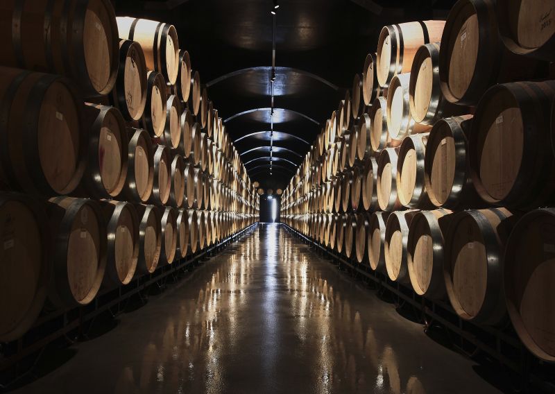 Oak, Steel, or Amphora: How Aging Shapes Wine 4 Rows of oak barrels ageing wine in a cool cellar, where time in oak barrels shapes the wine's flavour and texture.